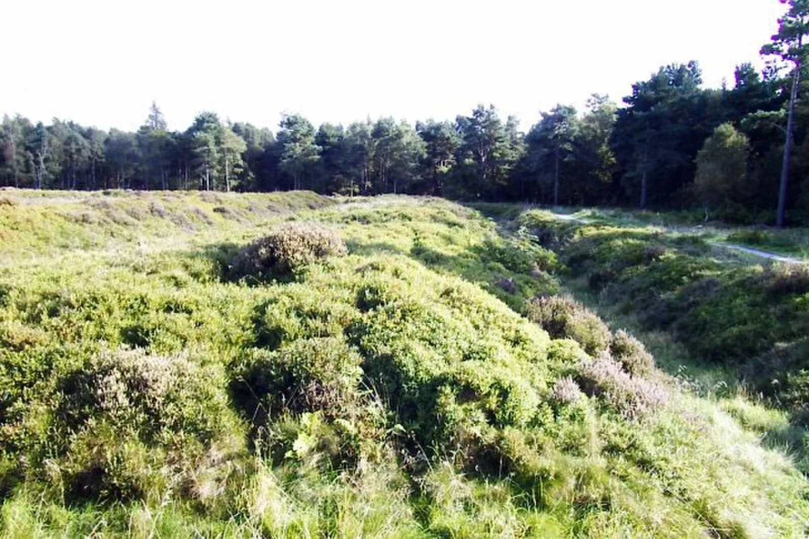 Cawthorne Roman Camp
